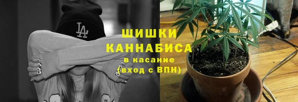сатива Навашино