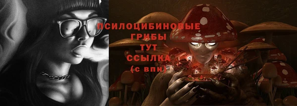 сатива Навашино