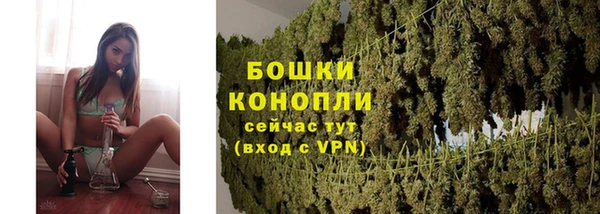 сатива Навашино