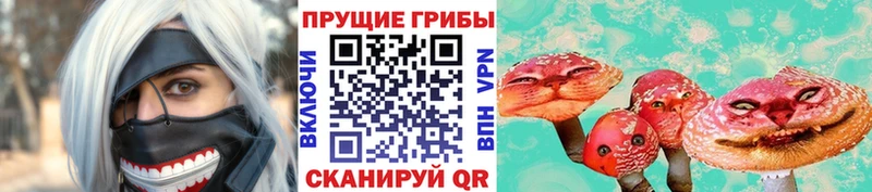 Купить закладки  Дмитров  Псилоцибиновые грибы Psilocybe 